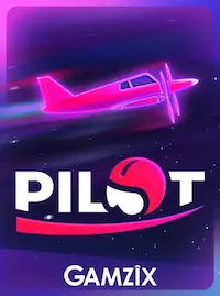 Pilot crash at G488 COM