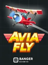 Avia Fly crash at G488 COM